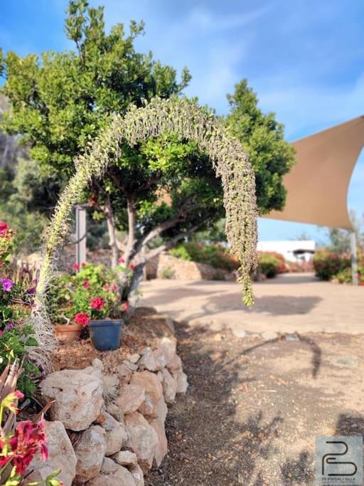 Casa Can Lluc Con Piscina, Jardin Y Vista Al Campo Sant Miquel de Balansat Extérieur photo