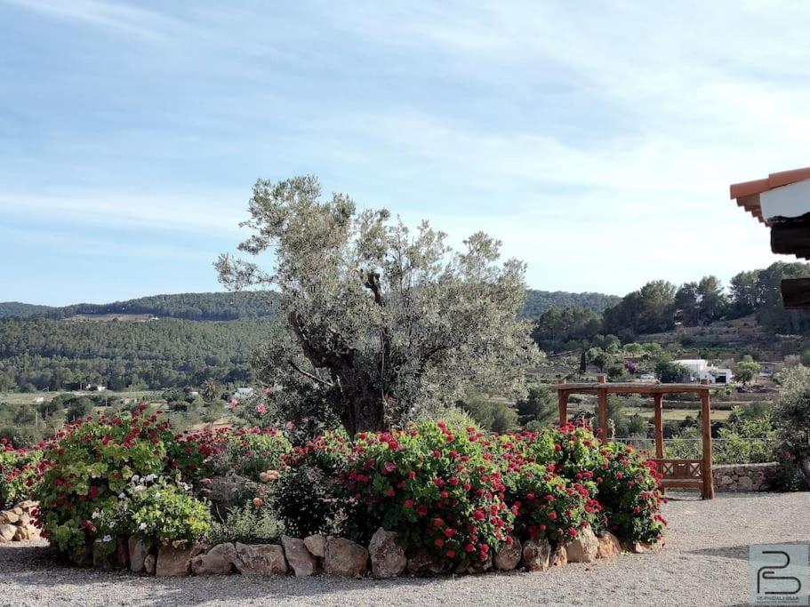 Casa Can Lluc Con Piscina, Jardin Y Vista Al Campo Sant Miquel de Balansat Extérieur photo