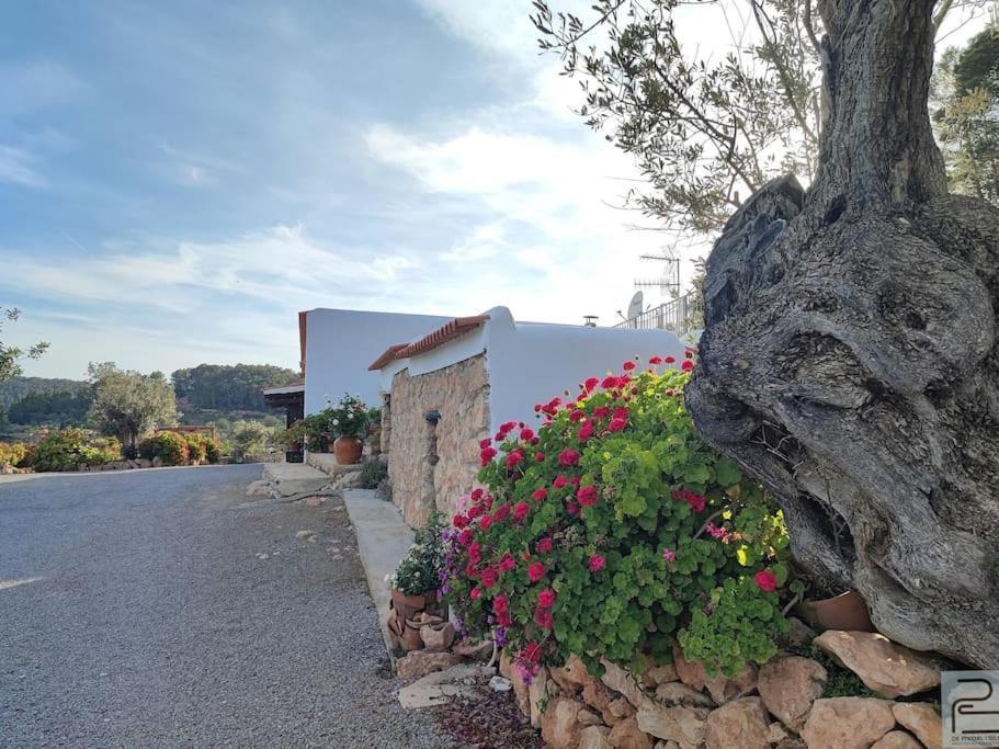 Casa Can Lluc Con Piscina, Jardin Y Vista Al Campo Sant Miquel de Balansat Extérieur photo