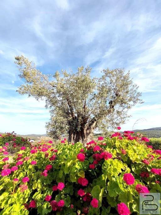 Casa Can Lluc Con Piscina, Jardin Y Vista Al Campo Sant Miquel de Balansat Extérieur photo
